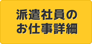 派遣社員のお仕事詳細